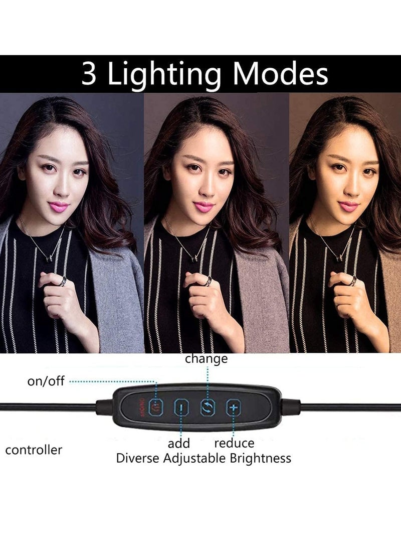 Dubkart - 3 Pcs Kit Of Photo Studio Table Top Ring Fill Light, Small Ball Nebula And Stander For Beauty Selfie And Soft Box Photography - Image 1