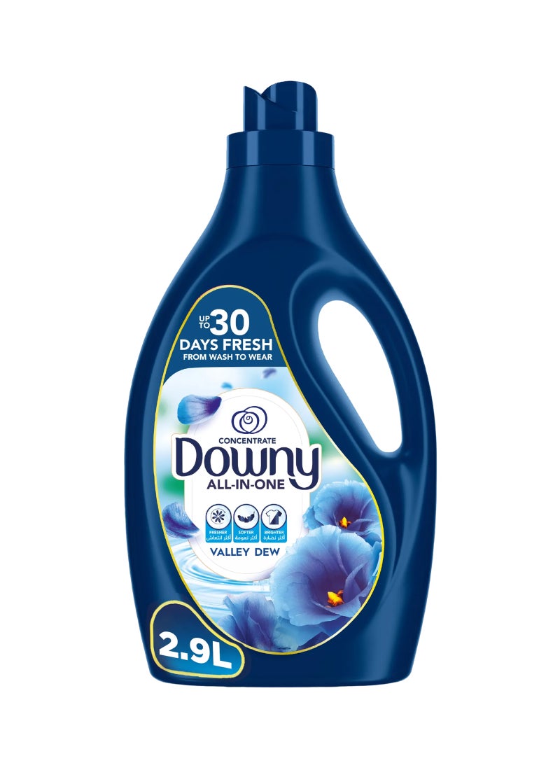 Concentrate Valley Dew Fabric Conditioner Value Pack