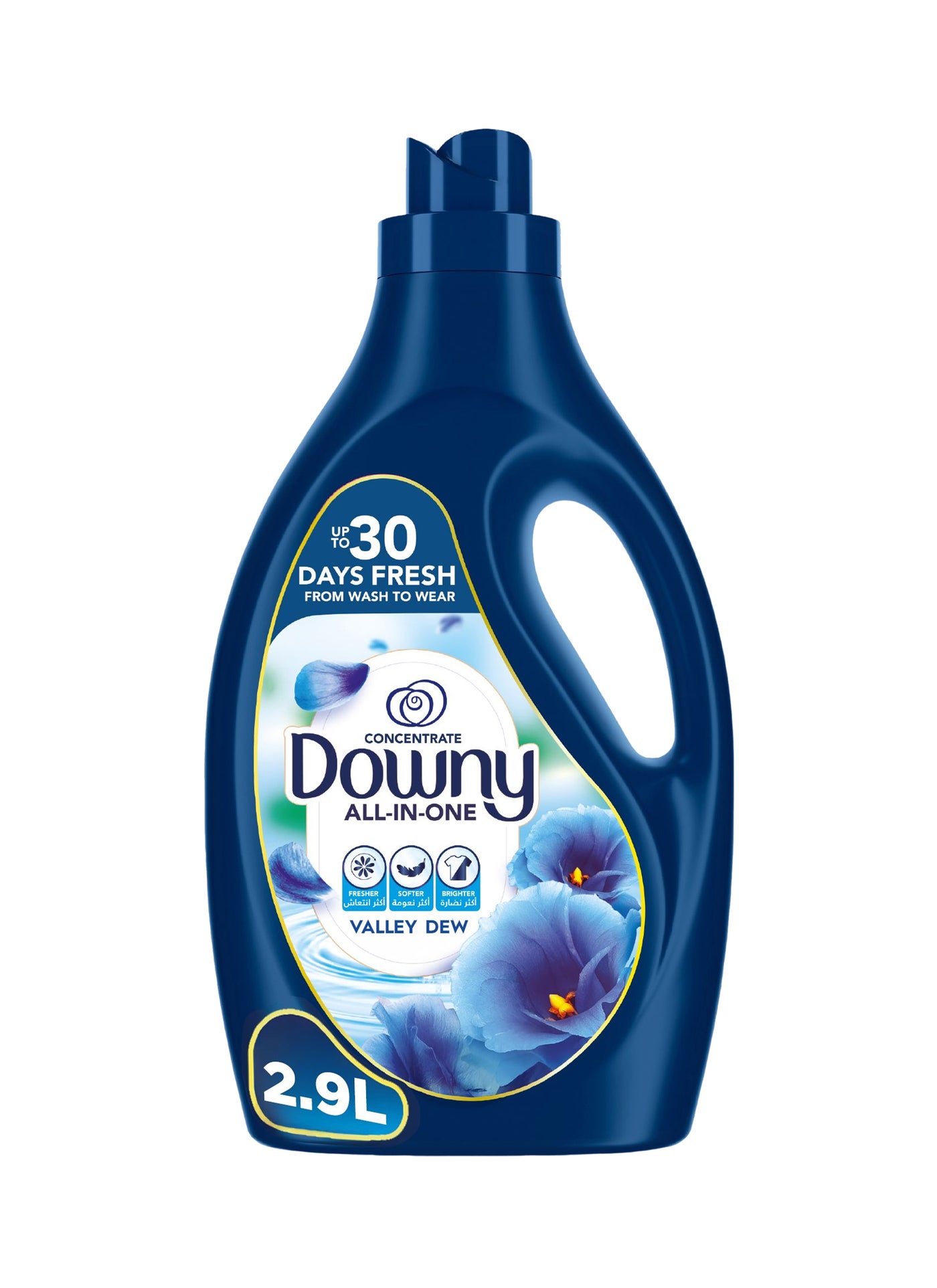Downy Concentrate All in One Valley Dew