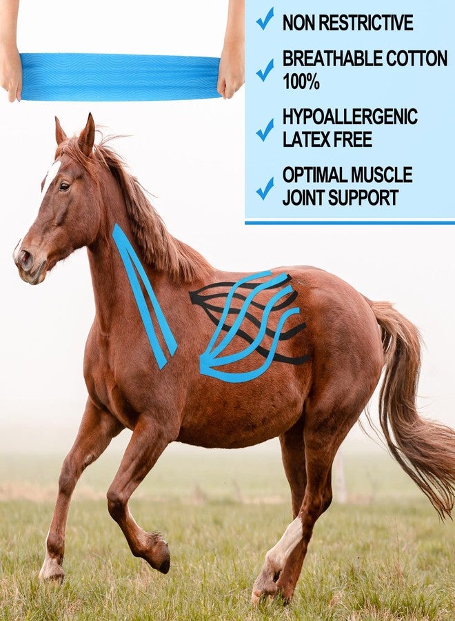 Burbell 2 Pcs Equine Kinesiology Tape for Horses or Dogs Veterinary Horse Tape Black Blue 4 Inch Equine and Canine Adhesive Uncut Roll for Vet Adhesive Animal Pets Wrap Bandages - Image 2