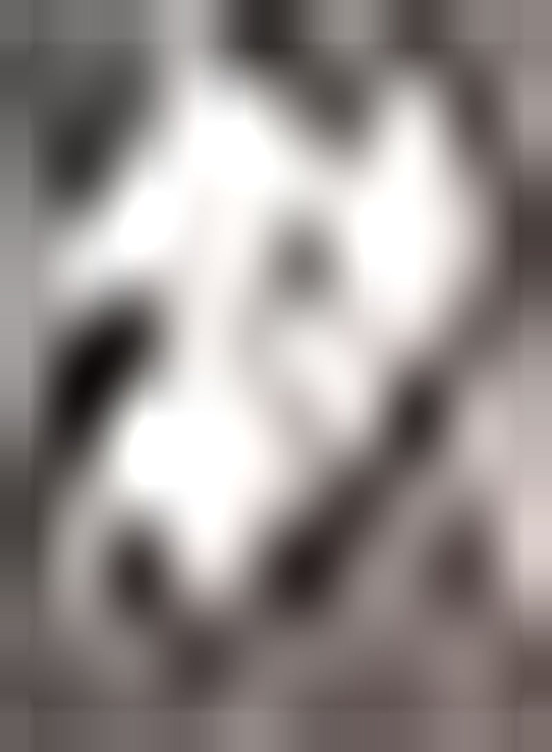 GGOOT 100Stück Moringa Samen verleihen einzigartige Blumen und einen starken Duft wenn die Sonne VOLL ist und verleihen Ihrem Garten einen Hauch von Farbe - Image 2