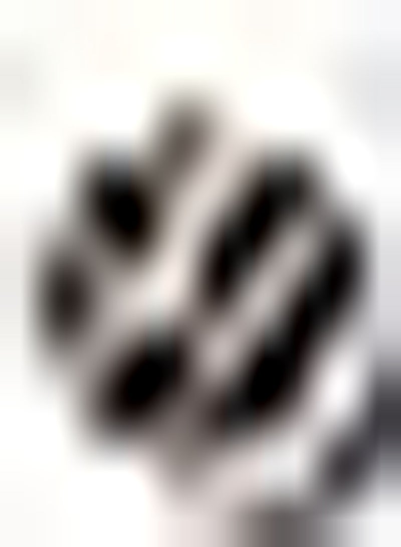 GGOOT 100Stück Moringa Samen verleihen einzigartige Blumen und einen starken Duft wenn die Sonne VOLL ist und verleihen Ihrem Garten einen Hauch von Farbe - Image 1