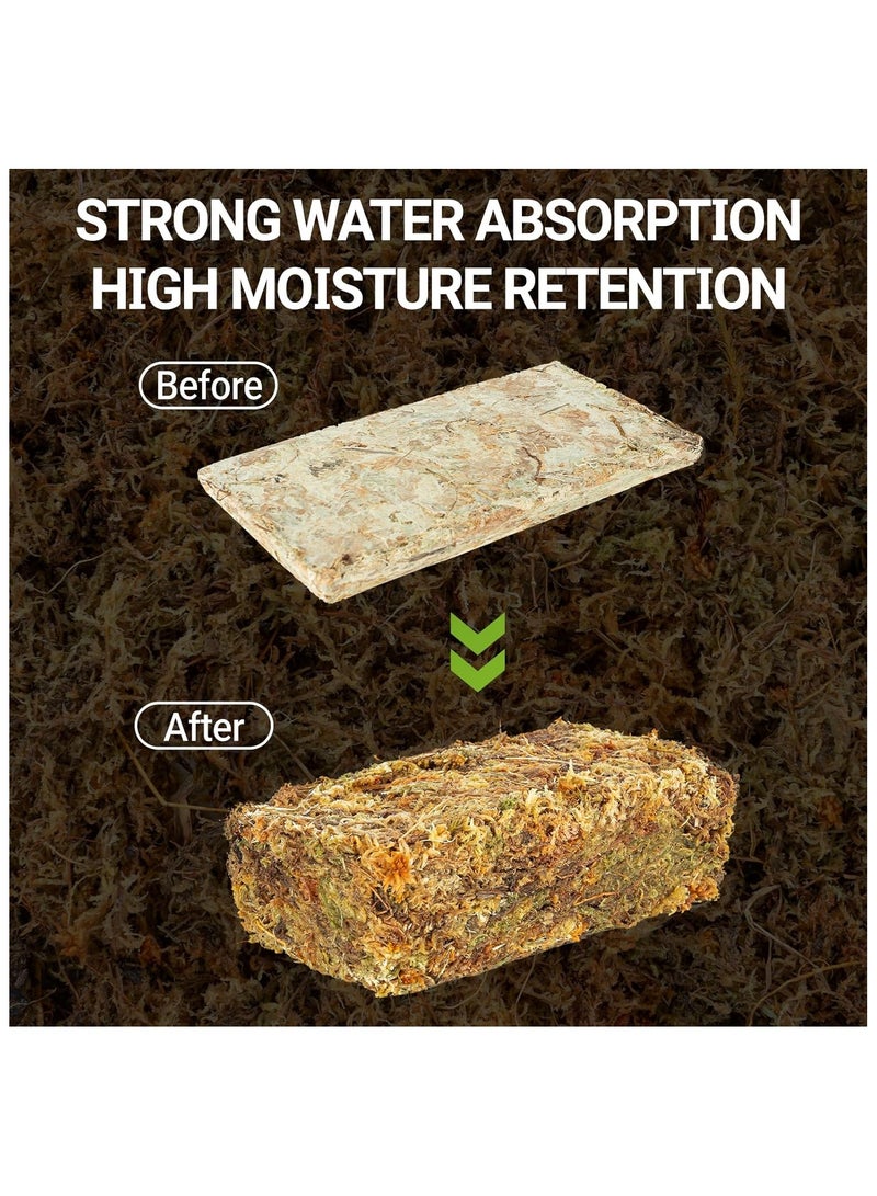 REPTIZOO REPTI ZOO 7OZ Natural Sphagnum Moss for Reptiles, 200g Chile Moss Substrate for Reptile & Amphibian | Terrarium Tank Forest Moss Bedding for Snakes, Turtles, Frog, Hermit Cra  - Image 5