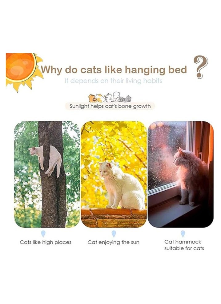 Cat Window Perch Window Seat Suction Cups Space Saving Cat Hammock Pt Resting Seat Safety Cat Shelves Providing All Around 360 Degree Sunbath for Cats