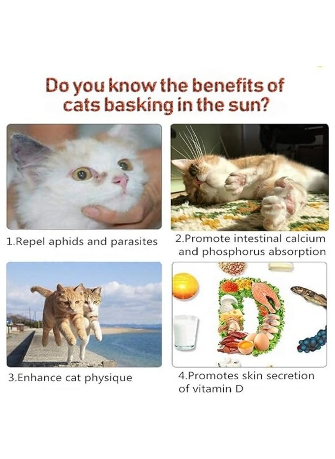 Cat Window Perch Window Seat Suction Cups Space Saving Cat Hammock Pt Resting Seat Safety Cat Shelves Providing All Around 360 Degree Sunbath for Cats