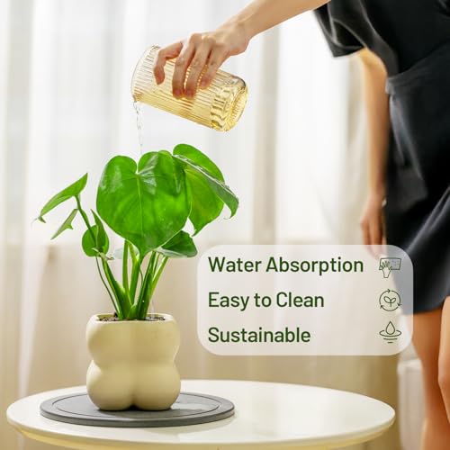 MUDEELA Diatomaceous Earth Plant Saucers for Indoor & Outdoor, 3 Pack of 6 Inches Round Plant Tray Plant Dish Pant Plate to Catch Water for Flower and Plant Pot, Instant Drying Stone Drainage Tray - Image 3