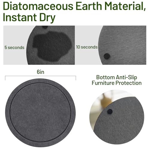 MUDEELA Diatomaceous Earth Plant Saucers for Indoor & Outdoor, 3 Pack of 6 Inches Round Plant Tray Plant Dish Pant Plate to Catch Water for Flower and Plant Pot, Instant Drying Stone Drainage Tray - Image 2