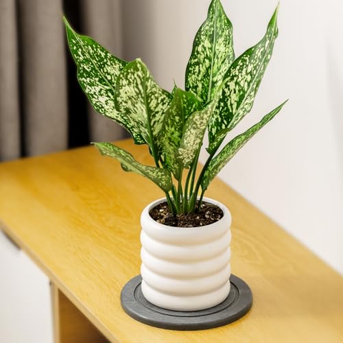 MUDEELA Diatomaceous Earth Plant Saucers for Indoor & Outdoor, 3 Pack of 6 Inches Round Plant Tray Plant Dish Pant Plate to Catch Water for Flower and Plant Pot, Instant Drying Stone Drainage Tray - Image 4