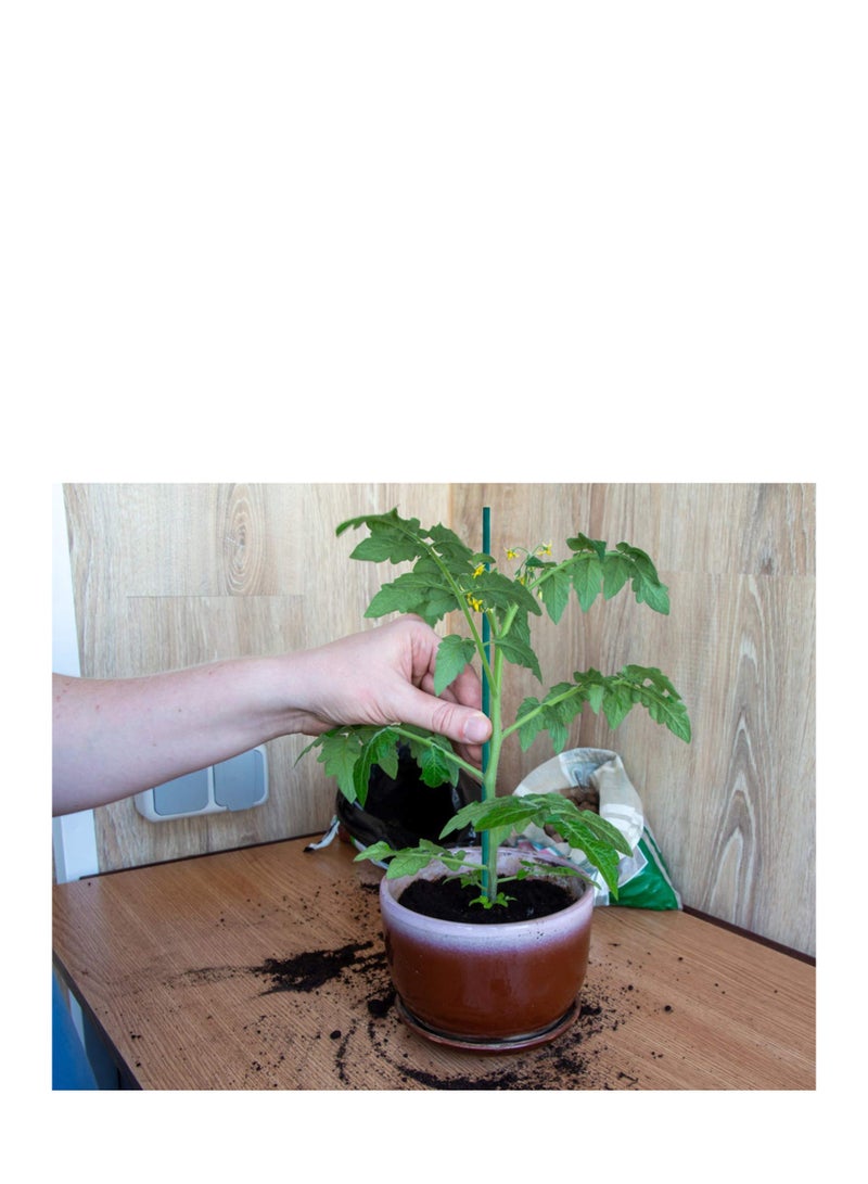 Zikra Garden Stakes Green Bamboo Sticks Decorative, Wooden Plant Support Sticks, Green Wood Plant Stakes, Floral Plant Support Stakes, Wooden Sign Posting Garden Sticks and DIY Activities - Image 3