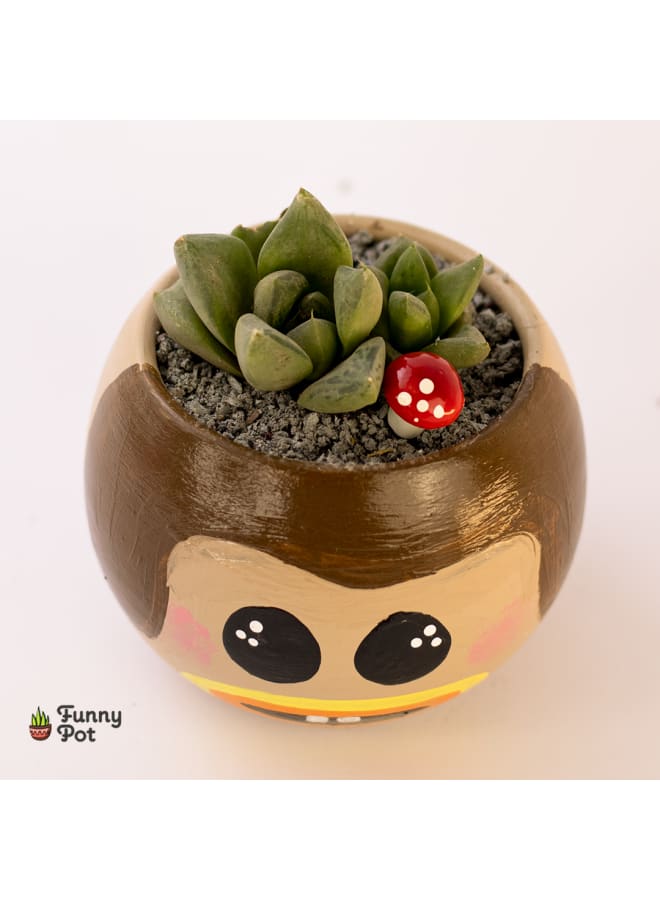 بوت صبار طبيعي - بني - 10*8 سم