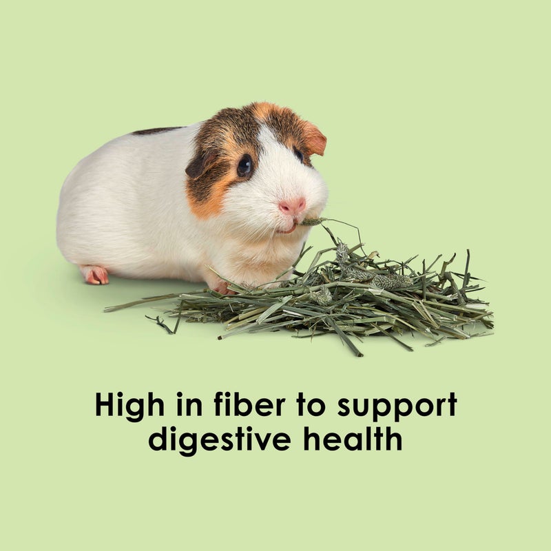 Kaytee Timothy Hay, High Fiber, Grown Specifically for Small Animals, Rabbits, Guinea Pigs, Chinchillas, Ideal Bulk Order for Small Pets, 12 pounds - Image 4