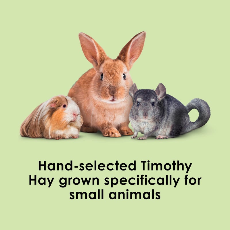 Kaytee Timothy Hay, High Fiber, Grown Specifically for Small Animals, Rabbits, Guinea Pigs, Chinchillas, Ideal Bulk Order for Small Pets, 12 pounds - Image 2