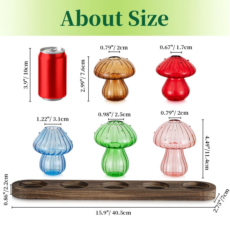 Hewory Glass Propagation Station for Plant: Mushroom Planter with Wooden Stand for Home Office Decor - Unique Propagation Jars for Plant Lovers - Set of 5 Hydroponic Mushroom Vases Gift for Mom - Image 5
