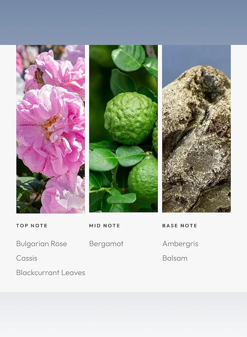 AROMA360 Iris Fragrance Oil Blend - Hotel Inspired for Luxury Essential Oil Diffusers - Aromatherapy Scent Diffuser Oil - Cassis, Black Currant, and Bulgarian Rose
