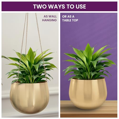 DecorTwist® Hanging Planter 3.7 Inch Pack of 3 | Metal Planter Indoor Outdoor Hanging Baskets | Hanging Flower Pot with Chain for Balcony Living Room Plant Hangers for Home Garden Decor (Gold) - Image 4
