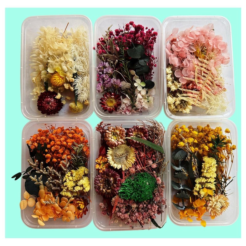 Prescent Natural Real Dried Flowers for Art Craft Mixed Soap, Candle, Scrapbook, DIY, Resin Tray Jewellery, Pendant Making and Much More (Multicolor - Random 3 Box) - Image 1