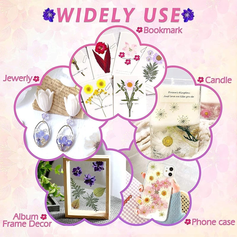 Prescent Natural Real Dried Flowers for Art Craft Mixed Soap, Candle, Scrapbook, DIY, Resin Tray Jewellery, Pendant Making and Much More (Multicolor - Random 3 Box) - Image 2