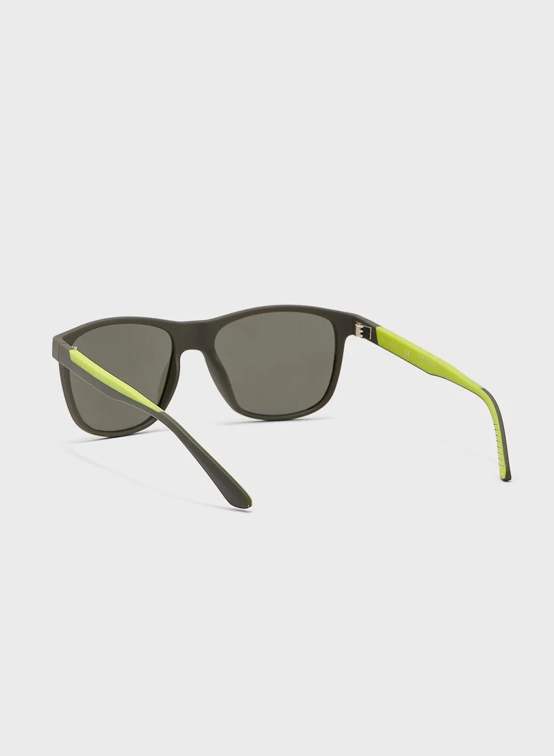 CALVIN KLEIN Wayfarers Sunglasses