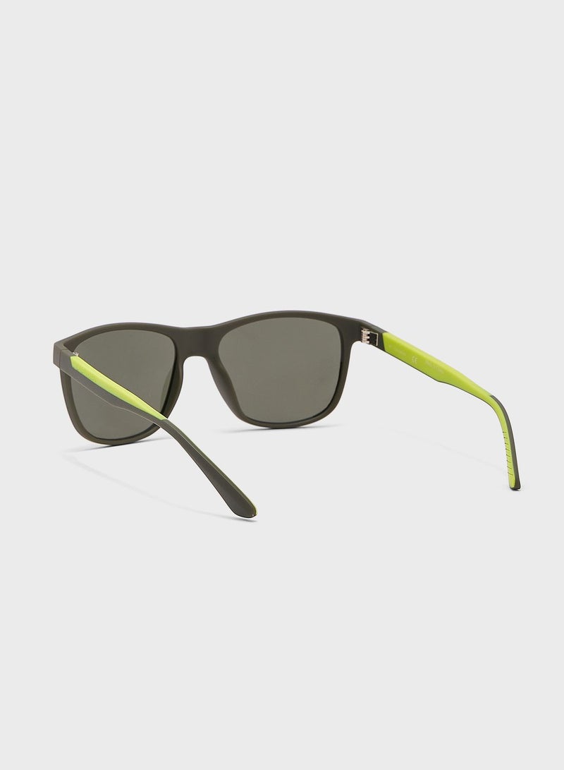 كالفن كلاين نظارة شمسية وايفيرر - Image 2