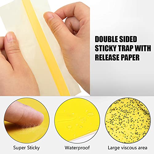 OrganicDews Yellow Double Sided Sticky Glue Bug Trap (8X6 Inches - 10 Traps) with Twist Tie - Flying Insects, Gnats, Thrips, Fruit Flies - Indoor and Outdoor (Pack of 10 Traps) - Image 4