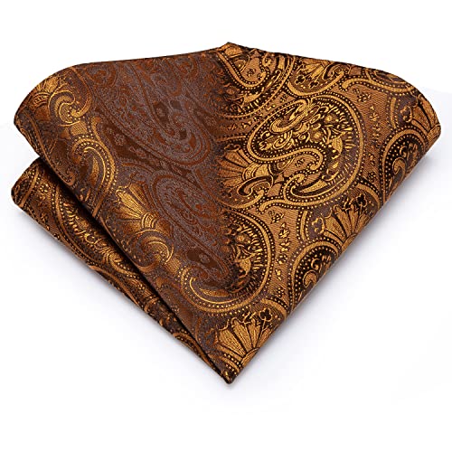 Dubulle Mens Orange Brown Paisley Floral Silk Tie for Men Striped Necktie Pocket Square Cufflinks Set Wedding Business - Image 3
