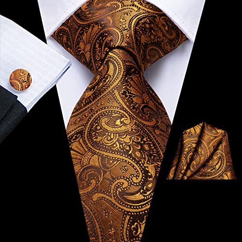 Dubulle Mens Orange Brown Paisley Floral Silk Tie for Men Striped Necktie Pocket Square Cufflinks Set Wedding Business - Image 4