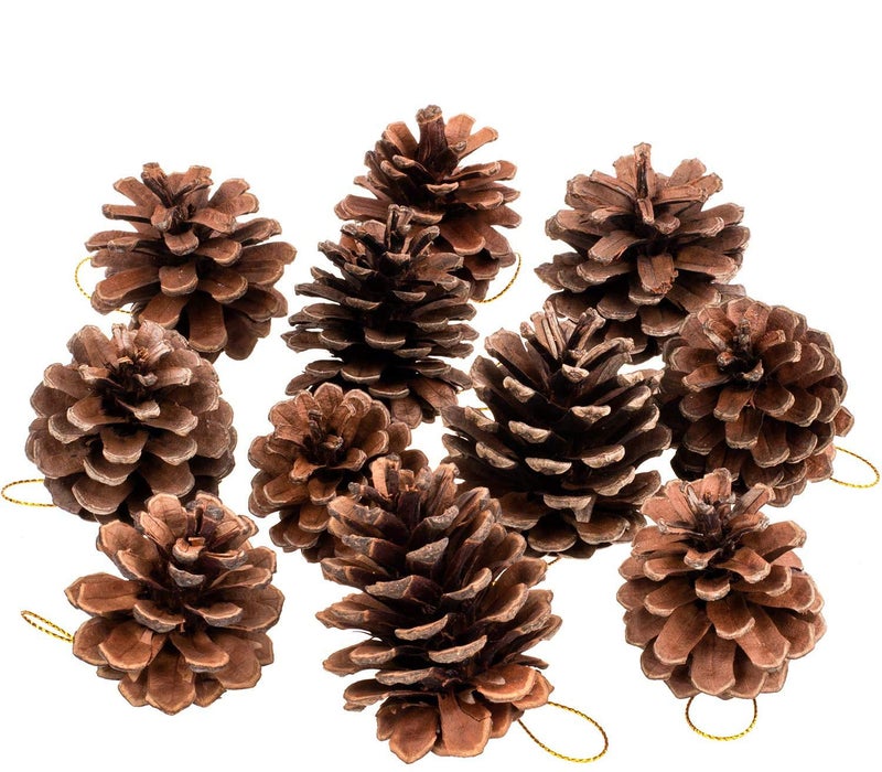 Whaline 25 Pcs 1624 Inches Christmas Pine Cones Decoration with String Natural Rustic Pinecones Bulk Ornaments for Crafting for Home Accent Decor Fall Thanksgiving Tree Decoration