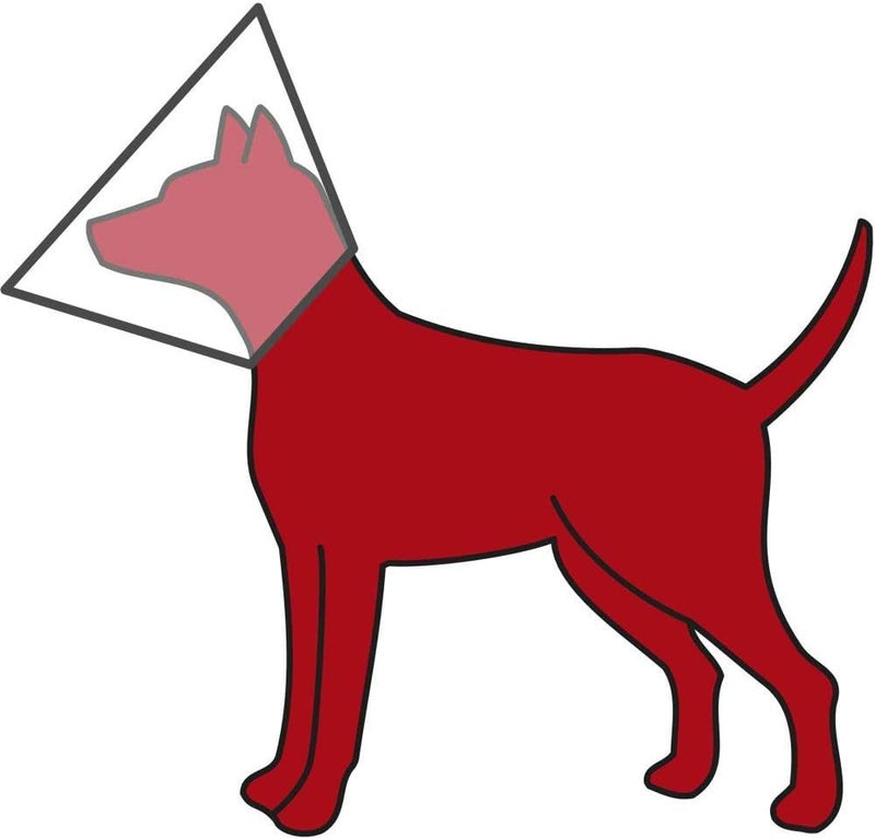 Trixie Protective Collar for Dogs - Image 2