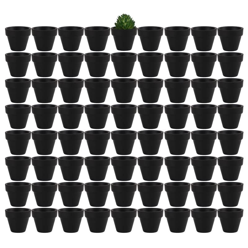 Yishang 19 Inch Tiny Black Terracotta Pots Pack of 72Small Mini White Clay Pots with Drainage Holes Flower Nursery Terra Cotta Planter for Tiny CactusHerbSucculent PlantsCrafts