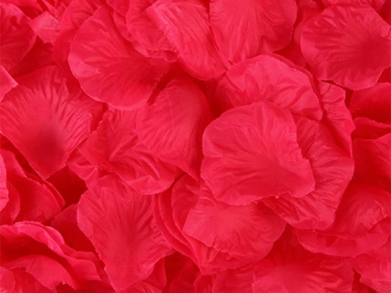 HYX 1000 Pieces Rose Petals, 20 Colours, Artificial Flower Confetti, Home Decorative Accessories, Ideal for Valentine’s Day Wedding Engagement Birthday Party Romantic Decoration - Image 1
