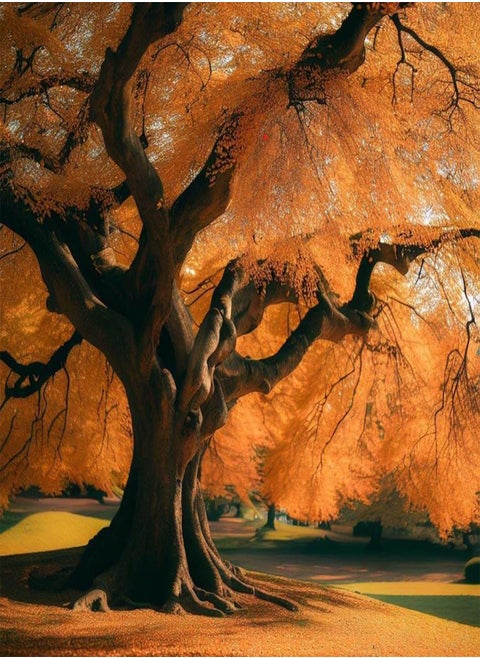 Zelkova serrata (Japanese Zelkova) Tree Seeds, Highly Valued as an Ornamental Tree in Landscaping, Seeds by , You Choose The Amount (0.25 g)