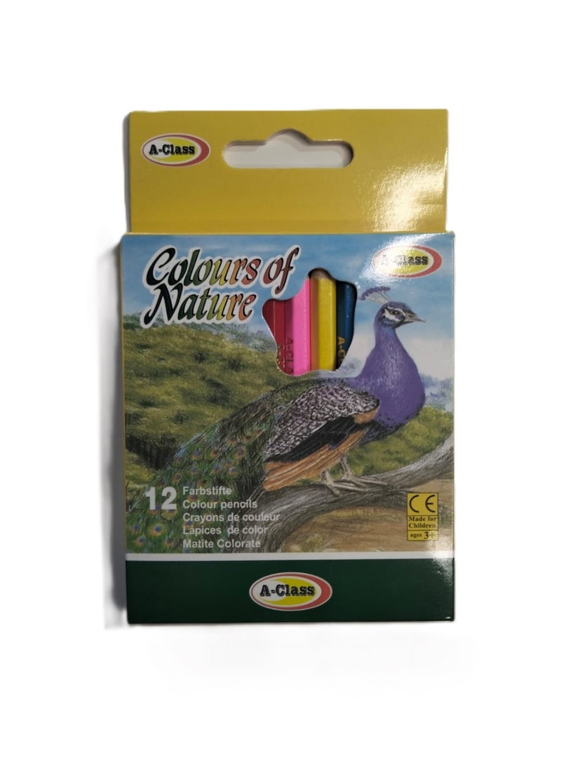 كلاس اللوان خشب