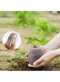 GMORO 10 Pack Seedling Blocks Nutrient Soil Compressed Non-woven Coconut Coir Seed Starter Pots Seedling Trays for Home Garden Seedling  - Image 3