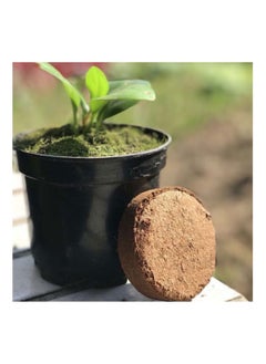 GMORO 10 Pack Seedling Blocks Nutrient Soil Compressed Non-woven Coconut Coir Seed Starter Pots Seedling Trays for Home Garden Seedling  - Image 2