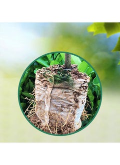 GMORO 10 Pack Seedling Blocks Nutrient Soil Compressed Non-woven Coconut Coir Seed Starter Pots Seedling Trays for Home Garden Seedling  - Image 4