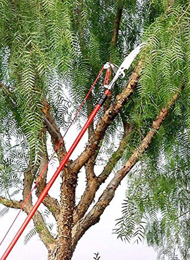 Corona TP 3841 DualCOMPOUND Action 12-ft. Tree Pruner, Red - Image 2