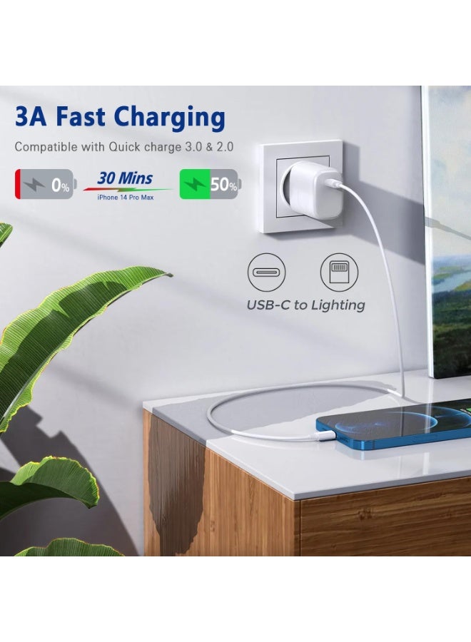 USB C to Lightning Cable 3FT, Apple MFi Certified iPhone Fast Charger (2-Pack) - Image 4