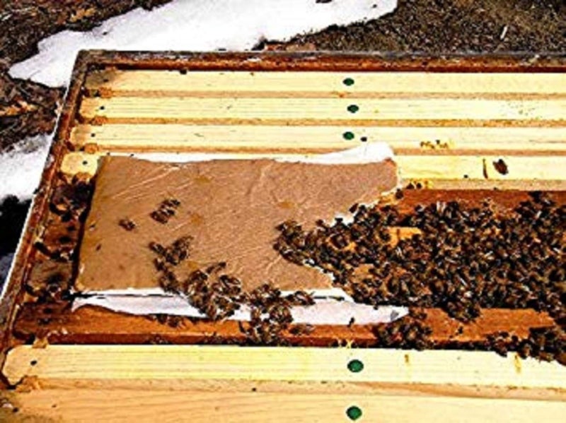 VILLAGE GIFT IMPORTERS Pollen Patty | High Protein Formula | Supplementary Feed for All Levels of Beekeepers - Image 3