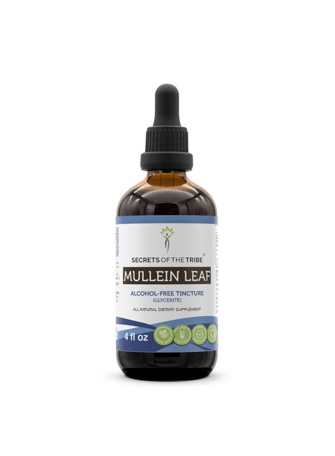 Mullein Leaf Tincture Alcohol-Free Liquid Extract, Mullein (Verbascum Densiflorum) (4 FL OZ)