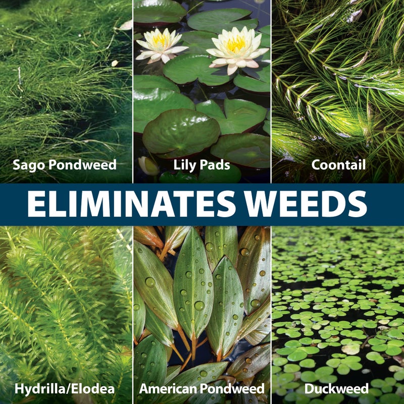 Airmax Wipeout Pond Weed Defense, Herbicide & Aquatic Weed Control, Controls Duckweed & Other Unwanted Submerged & Floating Vegetation, Easy-to-Use & Long Lasting, All-Season Treatment - 4 Ounce - Image 3