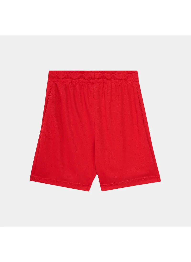 Nike Kids' Gym23 Mesh Shorts