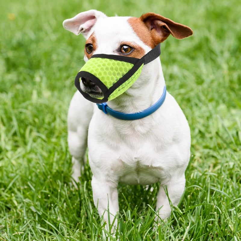 DOITOOL Dog Muzzle for Medium Dogs Breathable Anti-Biting Mouth Cover Drinking Hole Fluorescent Green Muzzle Suitable for Walking and Outdoor Use - Image 4