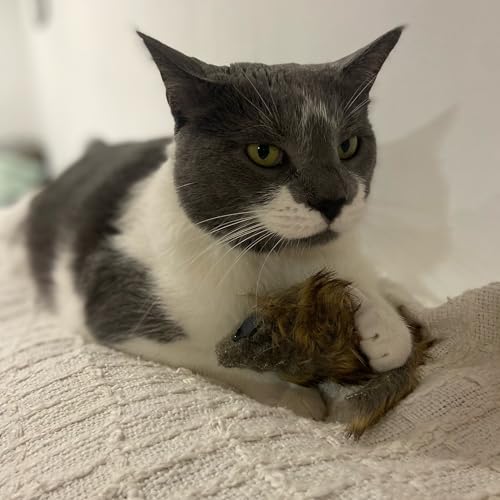 SPOT Shaggy Plush Giant Mouse - Cat Toy, Fuzzy Mice with Catnip and Rattle Toy for Indoor Cats and Kittens, Perfect Size for Pouncing on, Chasing, Hunting - 8.5in, 1 Piece - Image 2
