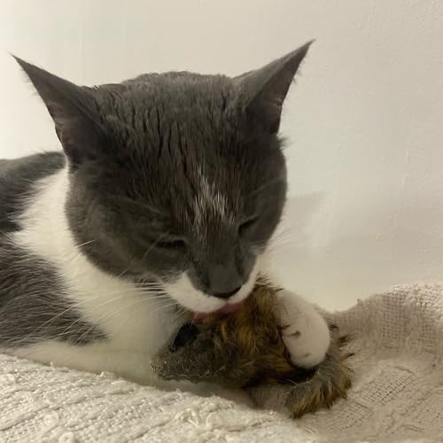 SPOT Shaggy Plush Giant Mouse - Cat Toy, Fuzzy Mice with Catnip and Rattle Toy for Indoor Cats and Kittens, Perfect Size for Pouncing on, Chasing, Hunting - 8.5in, 1 Piece - Image 4