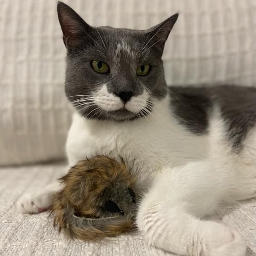 SPOT Shaggy Plush Giant Mouse - Cat Toy, Fuzzy Mice with Catnip and Rattle Toy for Indoor Cats and Kittens, Perfect Size for Pouncing on, Chasing, Hunting - 8.5in, 1 Piece - Image 5