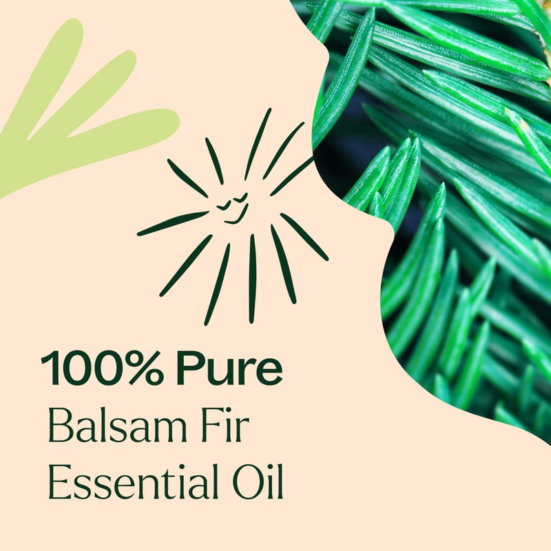 Plant Therapy Balsam Fir Essential Oil 10 mL (1/3 oz) Fresh Forest Scent, 100% Pure, Undiluted, Therapeutic Grade - Image 5
