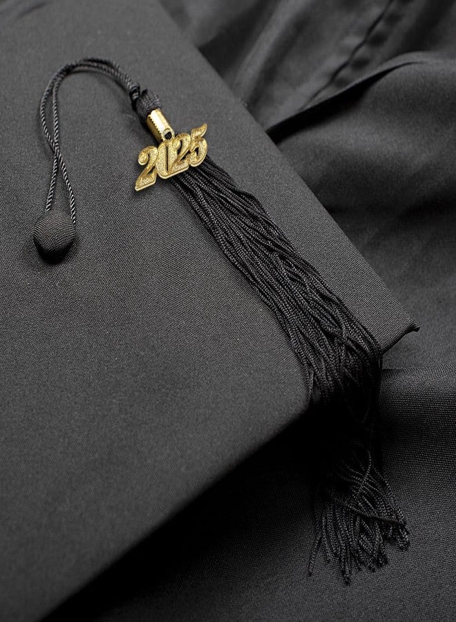 GradPlaza 12 Pcs Graduation Year Charm 2025 Signet Year Charm for Graduation Tassels - Image 3