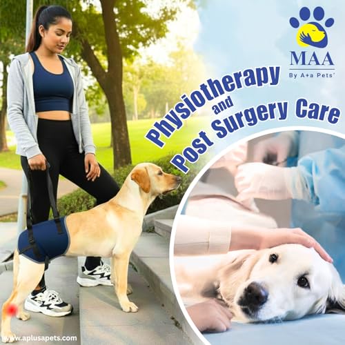 A+a Pets' Dog Lift Support Harness with | Adjustable Bukle | Galvanised D-Ring | Breathable Mesh Lining | Edge Piping for Disable Aging Injuried Paralysied Arthritis Pets. (S, Navy) - Image 4