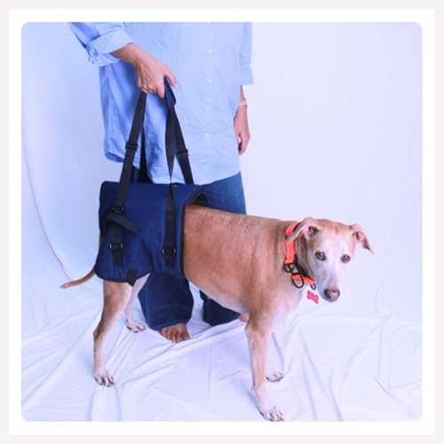 A+a Pets' Dog Lift Support Harness with | Adjustable Bukle | Galvanised D-Ring | Breathable Mesh Lining | Edge Piping for Disable Aging Injuried Paralysied Arthritis Pets. (S, Navy) - Image 1
