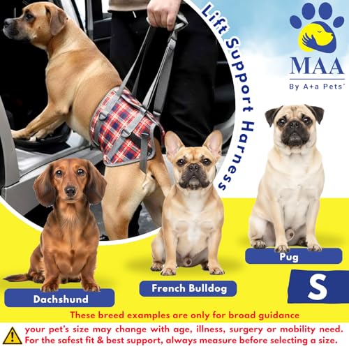 A+a Pets' Dog Lift Support Harness with | Adjustable Bukle | Galvanised D-Ring | Breathable Mesh Lining | Edge Piping for Disable Aging Injuried Paralysied Arthritis Pets. (S, Navy) - Image 2